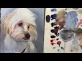 how to paint a maltese dog portrait in oils with suzanne barrett justis