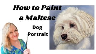 How to paint a Maltese Dog Portrait in Oils with Suzanne Barrett Justis