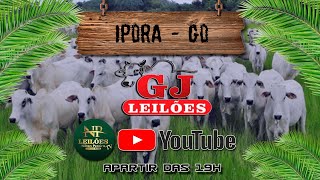 GJ LEILÕES - IPORÁ GOIAS 23/01/2025