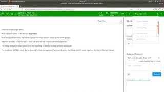 Using the SpeedGrader™ in Canvas