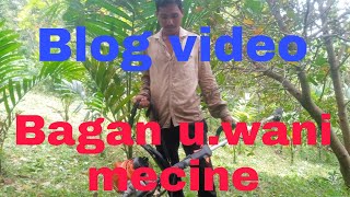 Bagan u.wani mecine ,blog video.@smithsongarochanneltv7963.