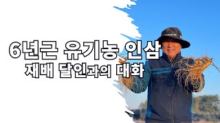 6년근 유기농 인삼 재배 달인과의 대화