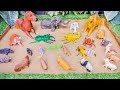 Sandbox Safari Squad: Farm Animals & Insects Expedition for Kids' Educational Fun