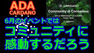 【カルダノADA 10万円勝負！】20220523 第1161話  カルダノは斧を研ぎ澄ましてきた 943,629円（+843.6％）