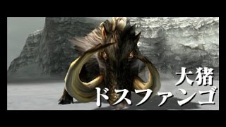 【MHX】ドスファンゴ狩猟【実況】