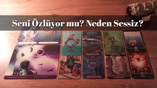 Aklındaki Kişi Seni Özlüyor mu? Neden Sessiz?