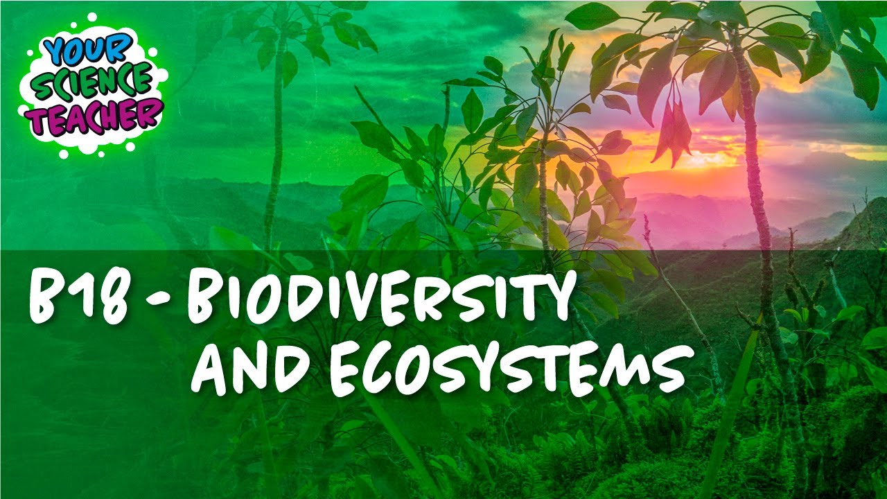 AQA GCSE 9-1 B18 - Biodiversity And Ecosystems - YouTube