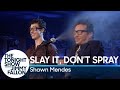 Slay It, Don't Spray It with Shawn Mendes