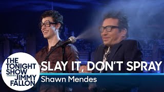 Slay It, Don't Spray It with Shawn Mendes