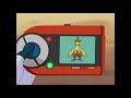 combusken pokédex entry