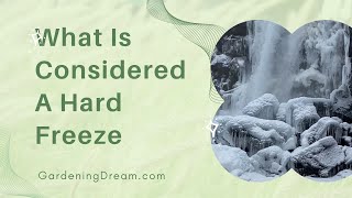 What Is Considered A Hard Freeze