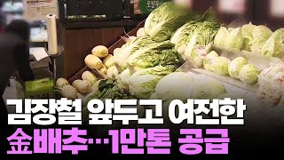 김장철 앞두고 '金배추' 여전…정부, 물량 1만톤 공급