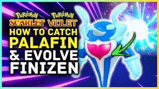 Pokemon Scarlet and Violet - How To Catch Palafin \u0026 Evolve Finizen  | Super Hero Pokemon Location