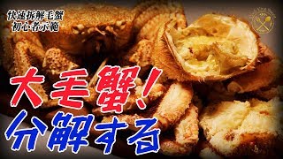 【！2公斤 北海道空運活毛蟹！】食前快速拆解示範 懶人食客最愛 下次唔使彈到成地殼  -  To Disassemble Horsehair crab