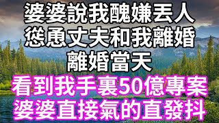 婆婆說我醜嫌丟人！慫恿丈夫和我離婚！離婚當天！看到我手裏50億專案！婆婆直接氣的直發抖！#為人處世 #幸福人生#為人處世 #生活經驗 #情感故事#以房养老#子女不孝 #唯美频道 #婆媳故事