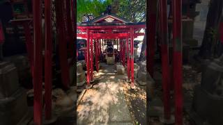 Hanazono-Jinja Shrine. Japan 🇯🇵🇯🇵🇯🇵 #travel #japantravel #japan #shorts #trendingshorts