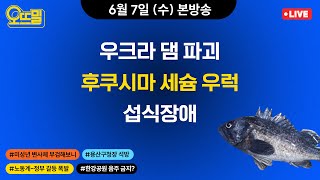 [🔴오뜨밀 라이브] 6/7(수) 우크라 댐 파괴, 변사체 마약 검출, 박희영 석방, 무너진 경사노위, 한강공원 음주 금지?/ 후쿠시마 세슘 우럭 /2부 별게 다 연구대상