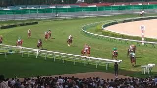 札幌競馬現地映像　すずらん賞勝ち馬ドナベディ武豊20230903