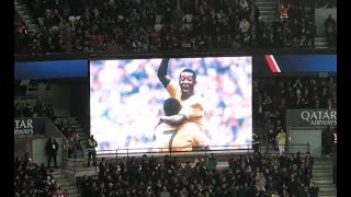 PSG vs Angers : l'ambiance du match [11/01/2023]
