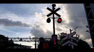 黃昏時 等彩繪火車過平交道 在南州糖廠前//Taiwan railroad crossing