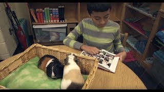 Fern and Rosemary - Fuzzy Friends at the Glasgow MS Library