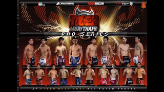 Tiger Muay Thai Pro Series 1 - 8 Man Tournament - 9 Pro Muaythai fights