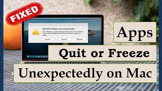Apps Quits or Freeze Unexpectedly on Mac (Here is the Fix)