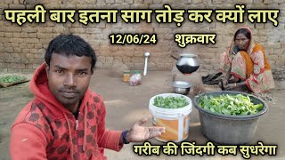 पहली बार इतना साग तोड़ कर क्यों लाए | गरीब की जिंदगी कब सुधरेगा | Ram jaya family vlogs