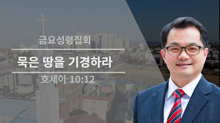 묵은 땅을 기경하라|호세아 10:12|김호길 목사|경산대산교회 금요성령집회|1월 17일