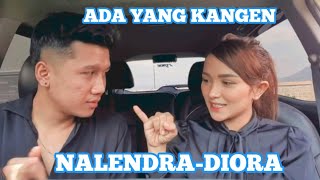 ND || NALENDRA-DIORA | HADIR KEMBALI