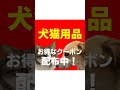 もしも愛猫と愛犬の会話が聞こえたら、オールバイで買い物しませんか1609