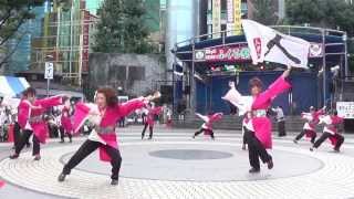 人祭会さん  東京よさこい2013