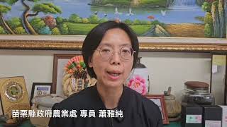 苗縣受傷小石虎誤闖農莊菇寮 低溫虛弱送醫搶救