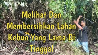 Membersihkan Lahan Kebun Yang Lama Di Tinggal Part 2