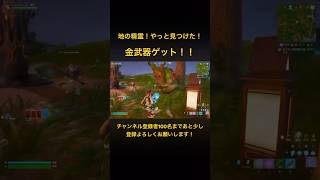 地の精霊！やっと見つけた！金武器確定【Fortnite/フォートナイト】