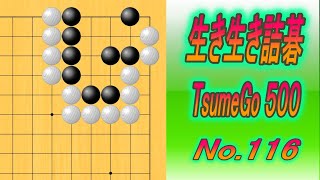 116.生き生き詰碁 (TsumeGo 500) Black to play