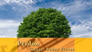 Karaoke - Perdón (Cover)
