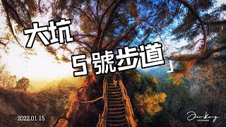 【登山健走】大坑五號夢幻步道