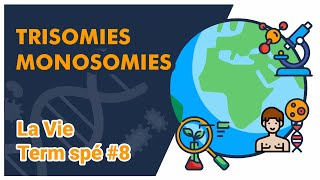 Trisomies Monosomies -SVT - LA VIE Term spé #8 - Mathrix