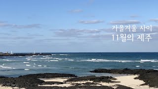 Jeju Travel Vlog of November Between Autumn and Winter