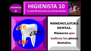 NOMENCLATURA DENTAL.