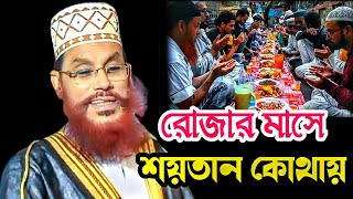 রোজার মাসে শয়তান কোথায়। Allama delwar Hossain saidi, saidiwaz saidimahafil Banglawaz saidivideo.