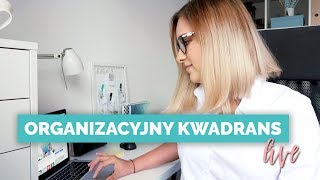 ROZWÓJ OSOBISTY, PODZIAŁ OBOWIĄZKÓW W DOMU, KULISY D.Y.L.