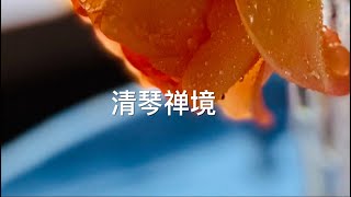 清琴禅境