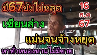 แม่นจนให้หยุด เซียนล่าง 1ปียังไม่หลุด โค้งสุดท้าย