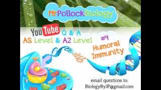 MrPollockBiology Q\u0026A 4: Humoral Immunity