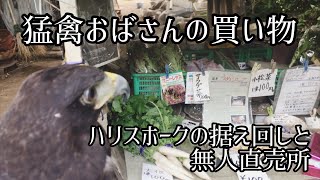 【無人直売所】ハリスホークの据え回し