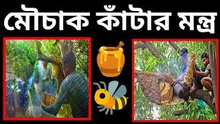 মৌচাক থেকে কিভাবে মধু সংগ্রহ করা হয়,,, মৌচাক কাটার মন্ত্র। মধু সংগ্রহ করার উপায়