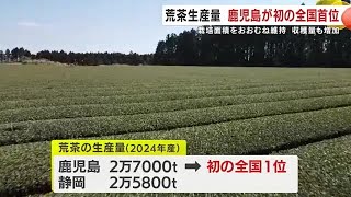 荒茶生産量　鹿児島が初の全国首位　栽培面積をおおむね維持　収穫量増 (25/02/18 18:14)