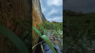 UNDERWATER photography #shorts #photography #videography